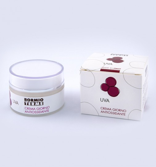 Antioxidant Day Cream