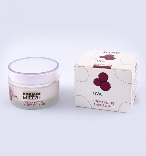 Antioxidant Night Cream