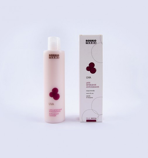 Antioxidant Cream Cleanser